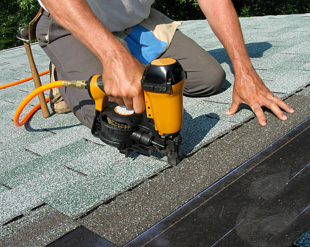Best Roof Gutter Cleaning  in Locust Grove, GA